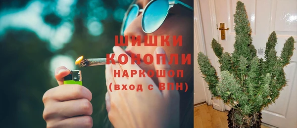 твердый Пересвет