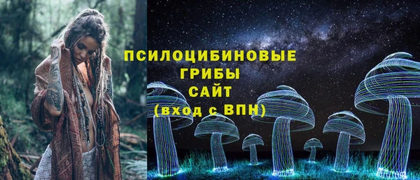 амф Абаза