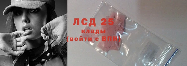 твердый Пересвет
