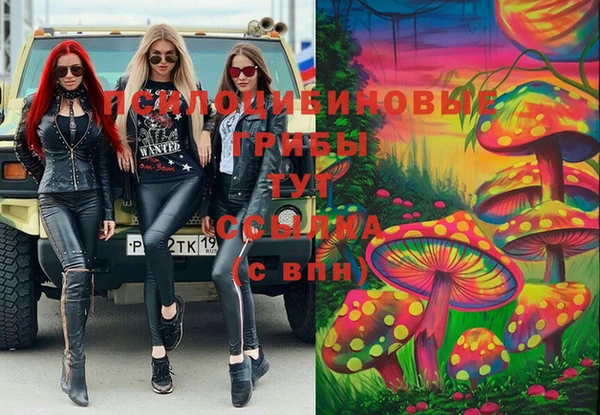 амф Абаза