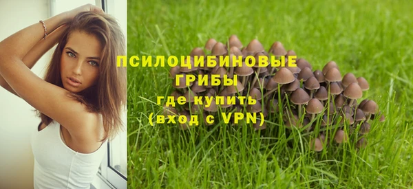 прущая мука Абинск