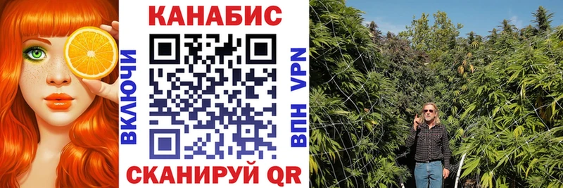 МАРИХУАНА сатива как найти закладки Камень-на-Оби